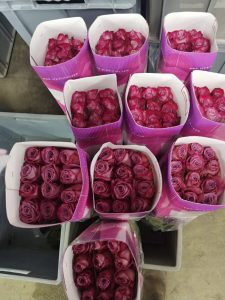 QUALITY objective process