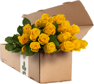 Weight-Volume Control and Packaging Optimization