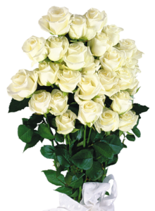 QUALITY objective process