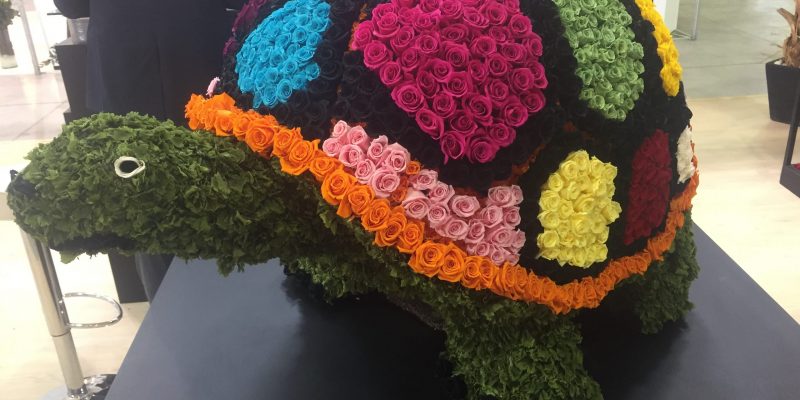 High Control Group visiting Agriflor 19-09-2018 High Control Group at Agriflor and FlorEcuador