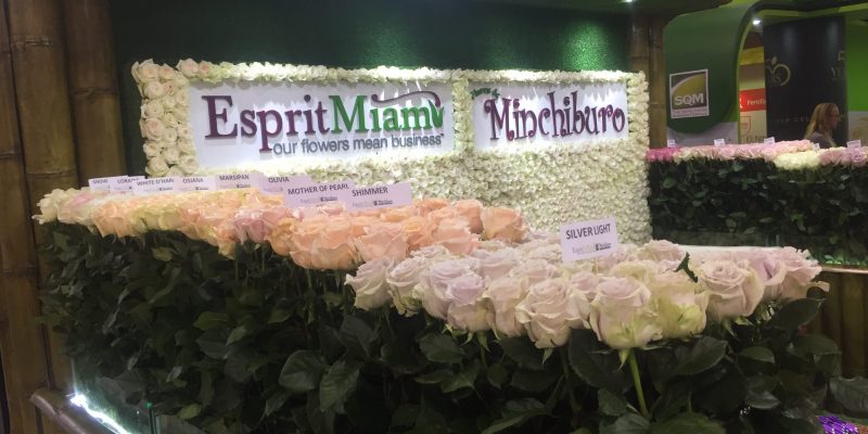 High Control Group visiting Agriflor 19-09-2018 High Control Group at Agriflor and FlorEcuador