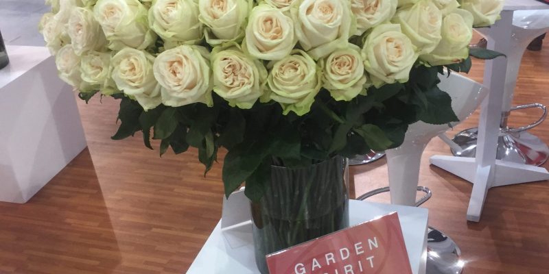 High Control Group visiting Agriflor 19-09-2018 High Control Group at Agriflor and FlorEcuador