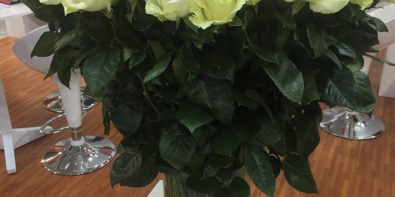 High Control Group visiting Agriflor 19-09-2018 High Control Group at Agriflor and FlorEcuador