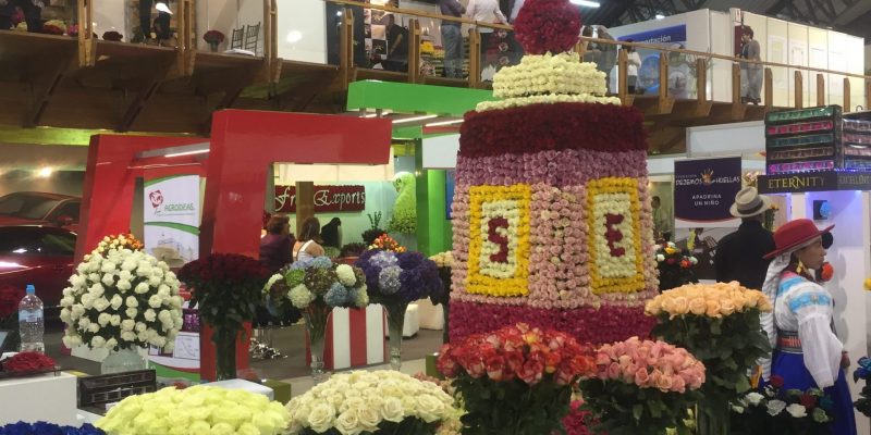 High Control Group visiting Agriflor 19-09-2018 High Control Group at Agriflor and FlorEcuador