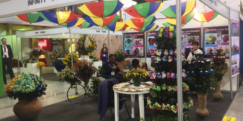 High Control Group visiting Agriflor 19-09-2018 High Control Group at Agriflor and FlorEcuador