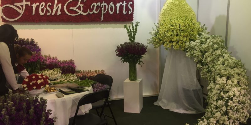 High Control Group visiting Agriflor 19-09-2018 High Control Group at Agriflor and FlorEcuador