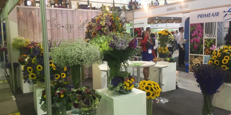 High Control Group visiting Agriflor 19-09-2018 High Control Group at Agriflor and FlorEcuador