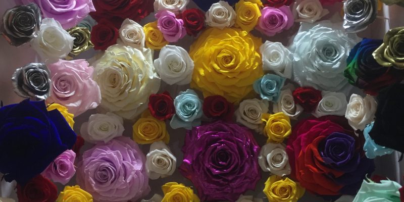 High Control Group visiting Agriflor 19-09-2018 High Control Group at Agriflor and FlorEcuador