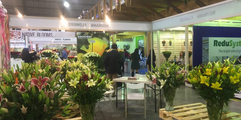 High Control Group visiting Agriflor 19-09-2018 High Control Group at Agriflor and FlorEcuador