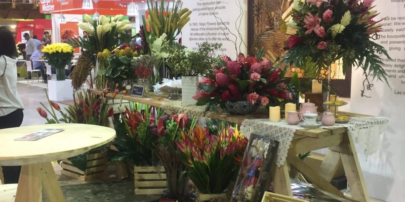 High Control Group visiting Agriflor 19-09-2018 High Control Group at Agriflor and FlorEcuador