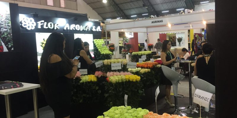 High Control Group visiting Agriflor 19-09-2018 High Control Group at Agriflor and FlorEcuador