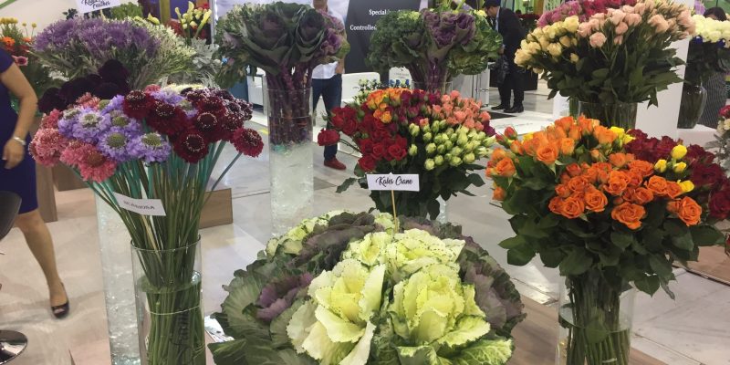 High Control Group visiting Agriflor 19-09-2018 High Control Group at Agriflor and FlorEcuador