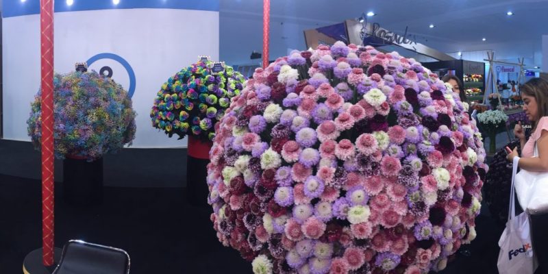 High Control Group visiting FlorEcuador 20-09-2018 High Control Group at Agriflor and FlorEcuador