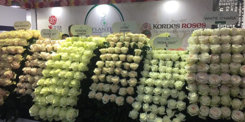 High Control Group visiting FlorEcuador 20-09-2018 High Control Group at Agriflor and FlorEcuador