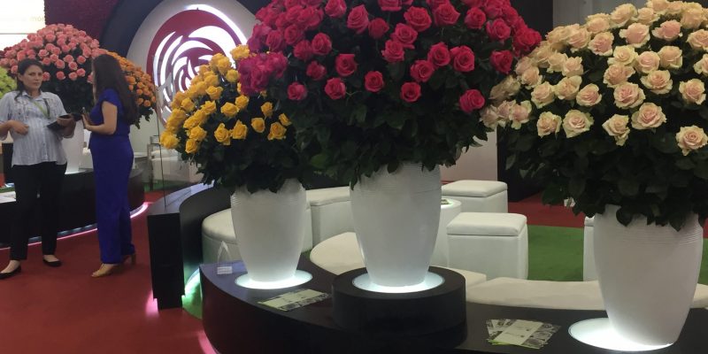 High Control Group visiting FlorEcuador 20-09-2018 High Control Group at Agriflor and FlorEcuador