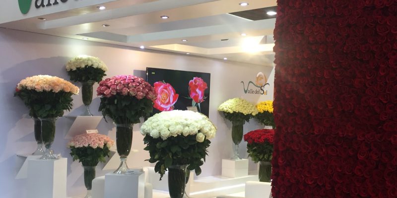 High Control Group visiting FlorEcuador 20-09-2018 High Control Group at Agriflor and FlorEcuador