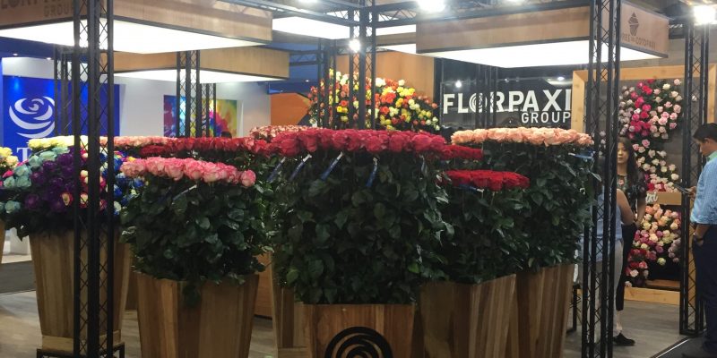 High Control Group visiting FlorEcuador 20-09-2018 High Control Group at Agriflor and FlorEcuador