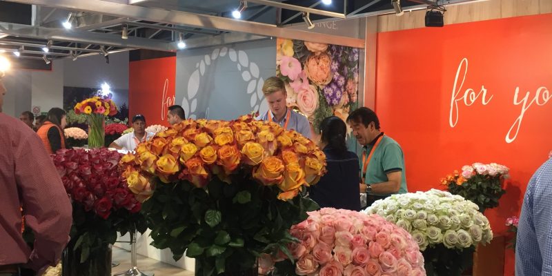 High Control Group visiting FlorEcuador 20-09-2018 High Control Group at Agriflor and FlorEcuador