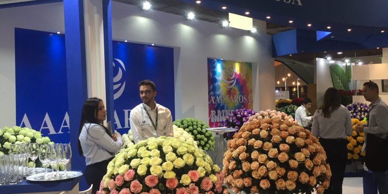 High Control Group visiting FlorEcuador 20-09-2018 High Control Group at Agriflor and FlorEcuador