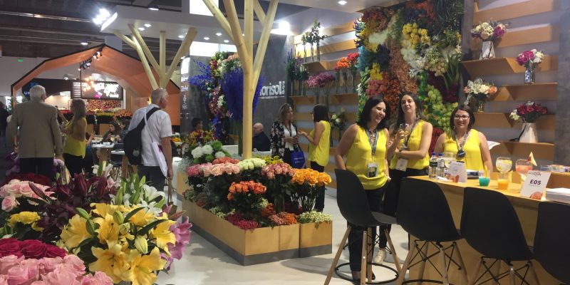 High Control Group visiting FlorEcuador 20-09-2018 High Control Group at Agriflor and FlorEcuador