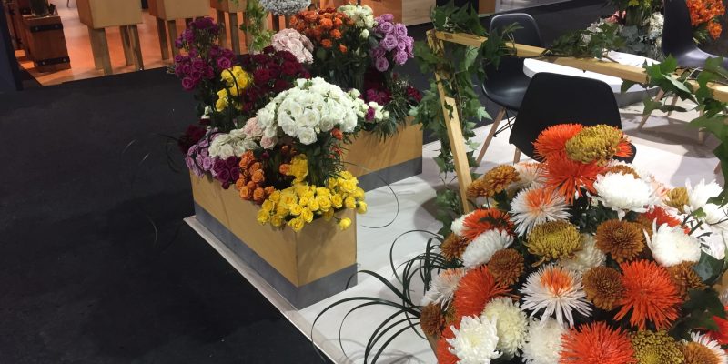 High Control Group visiting FlorEcuador 20-09-2018 High Control Group at Agriflor and FlorEcuador