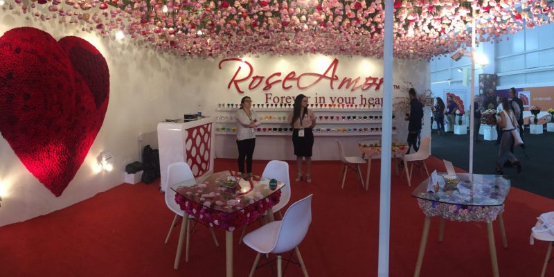 High Control Group visiting FlorEcuador 20-09-2018 High Control Group at Agriflor and FlorEcuador