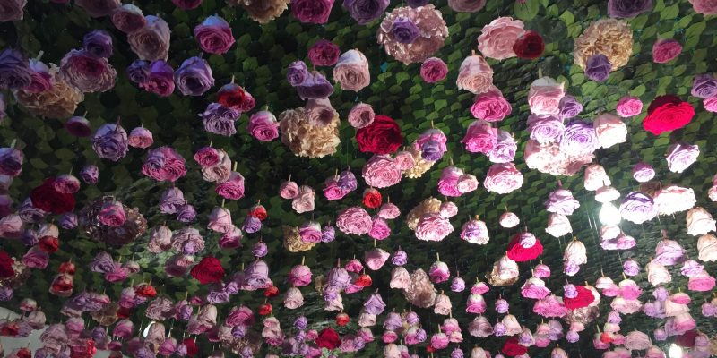 High Control Group visiting FlorEcuador 20-09-2018 High Control Group at Agriflor and FlorEcuador