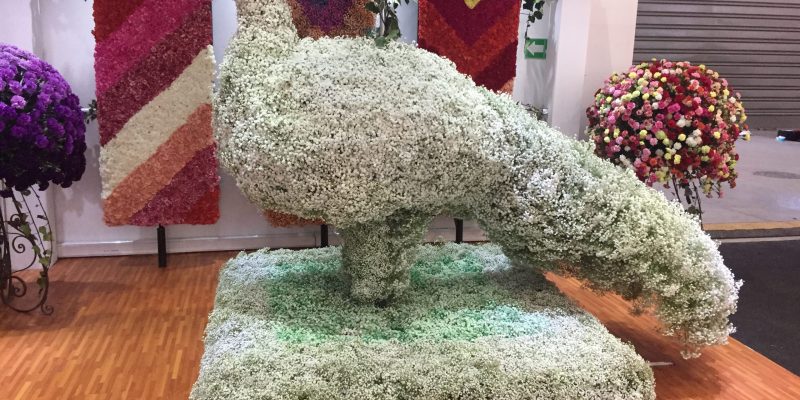 High Control Group visiting FlorEcuador 20-09-2018 High Control Group at Agriflor and FlorEcuador