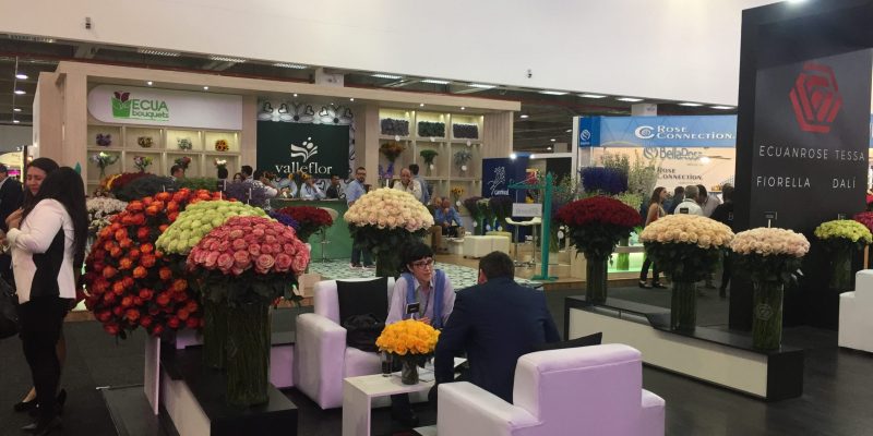 High Control Group visiting FlorEcuador 20-09-2018 High Control Group at Agriflor and FlorEcuador