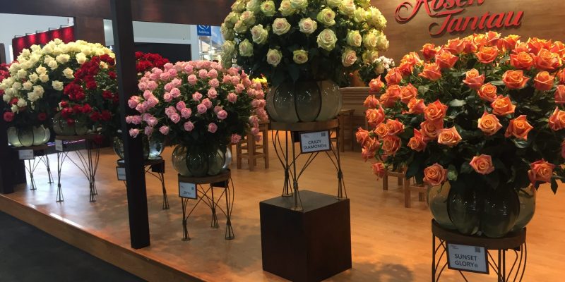 High Control Group visiting FlorEcuador 20-09-2018 High Control Group at Agriflor and FlorEcuador