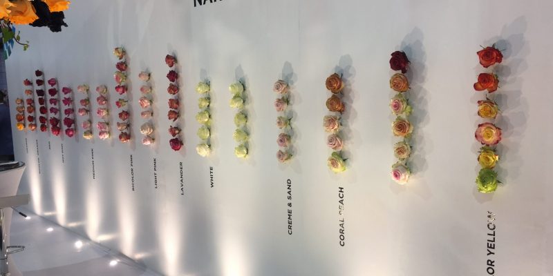 High Control Group visiting FlorEcuador 20-09-2018 High Control Group at Agriflor and FlorEcuador