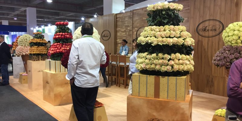 High Control Group visiting FlorEcuador 20-09-2018 High Control Group at Agriflor and FlorEcuador