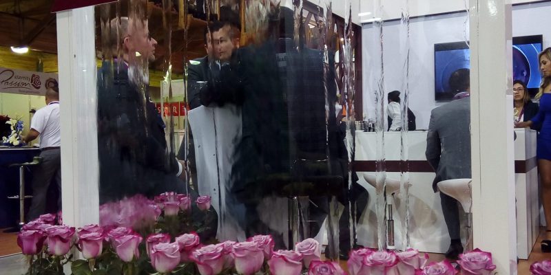 All-High Control Group visiting Agriflor 19-09-2018 High Control Group at Agriflor and FlorEcuador