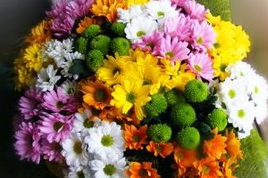 Mother's day in Russia Mother's day in Russia