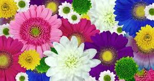 Mother's Day in Russia Mother's Day in Russia