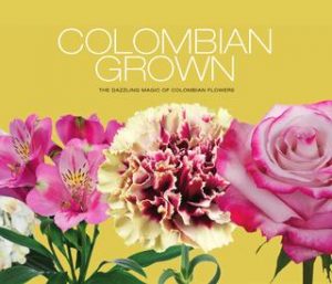 Flowers Cultivation in Colombia Flowers Cultivation in Colombia